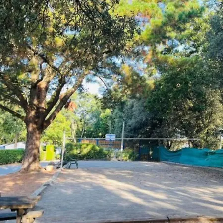 Kamp alanı Mobil - Animaux Acceptes - 4 Pers. - Api-1-52-2225